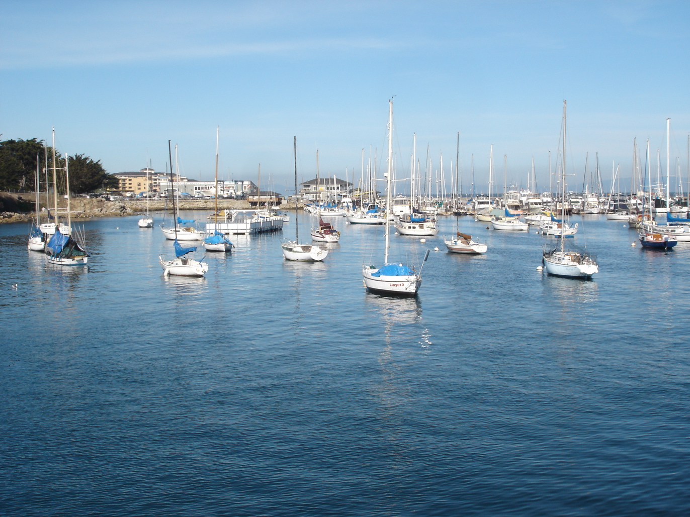 Boats in the Bay