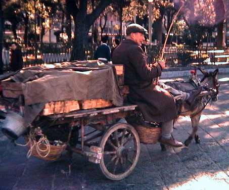 Pozzuli transportation system