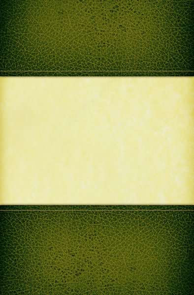 Leather Cover 4