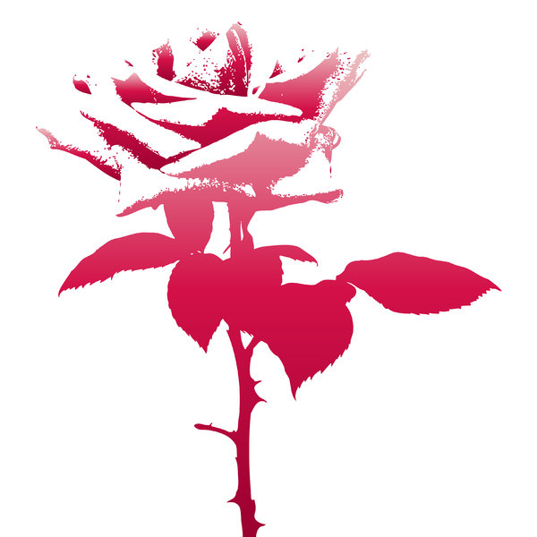 Rose Silhouette 2