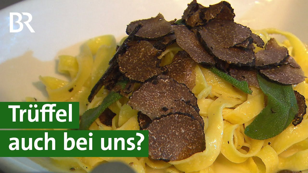 Spezialitäten aus Unterfranken: Wachsen Trüffel auch bei uns? | Unser Land | BR