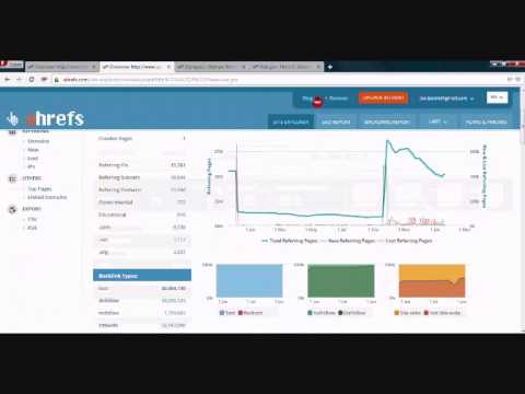 Natural Anchor Text Profiles [Case Study]