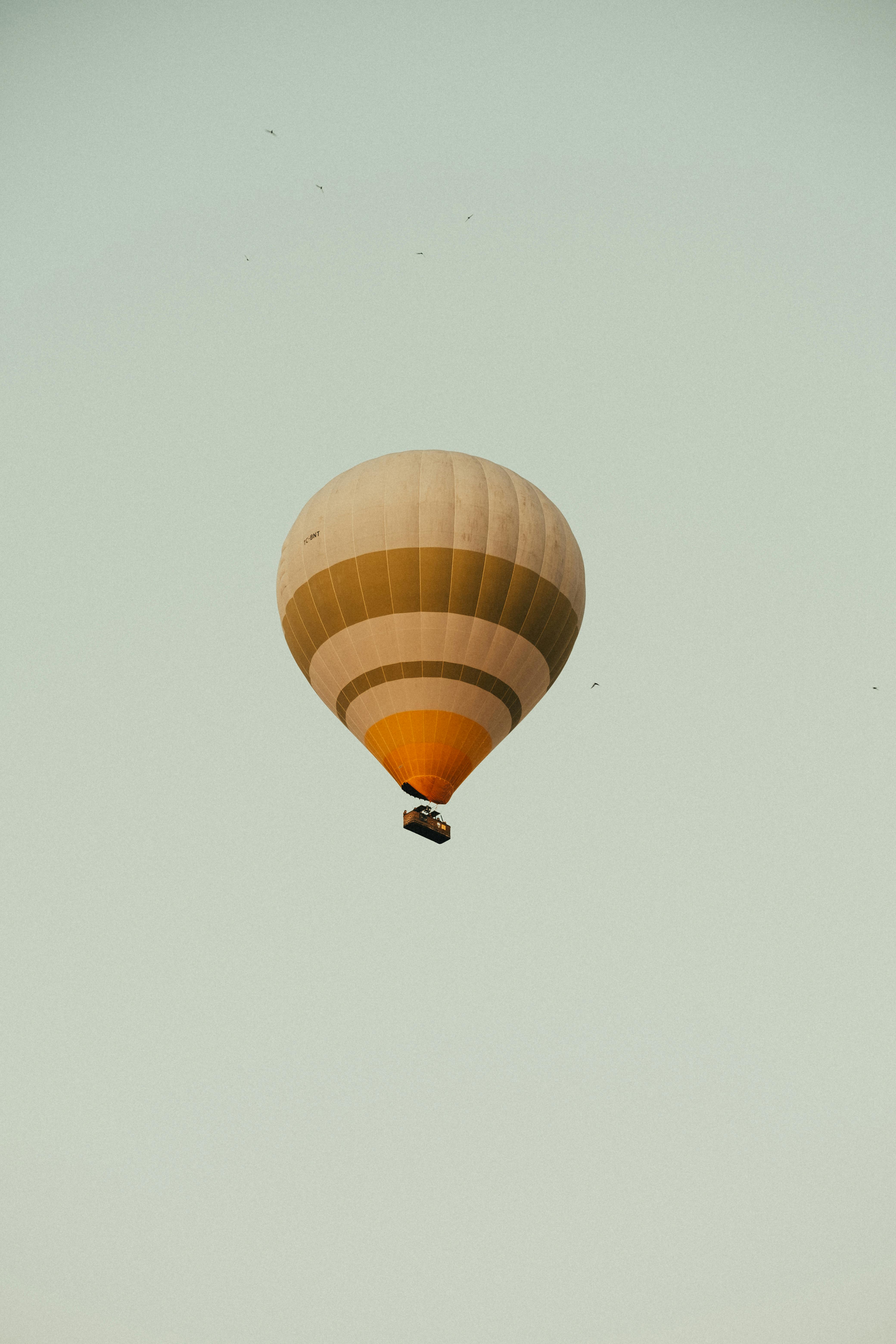 hot air balloon in blue sky