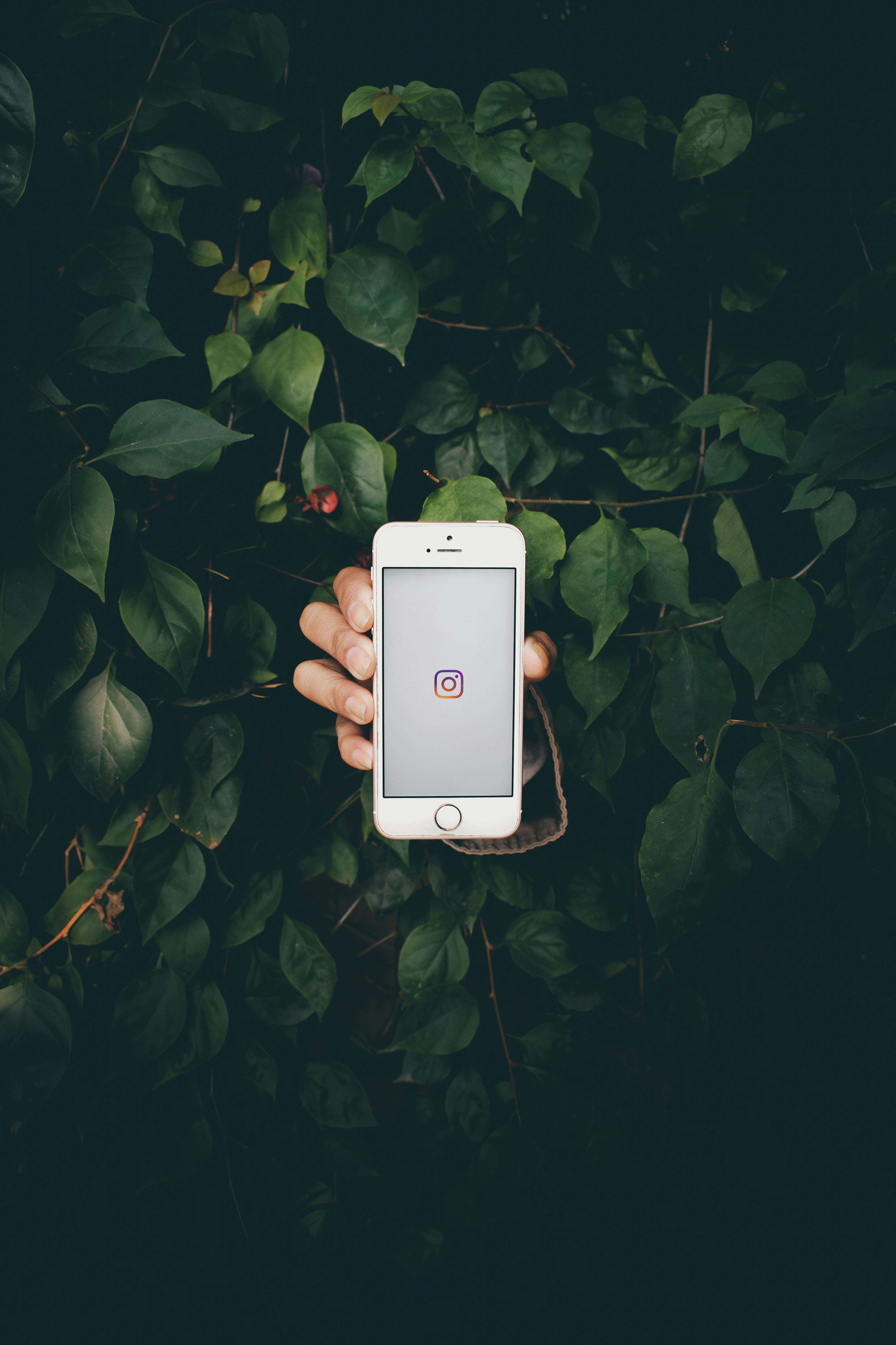 a person holding an iphone