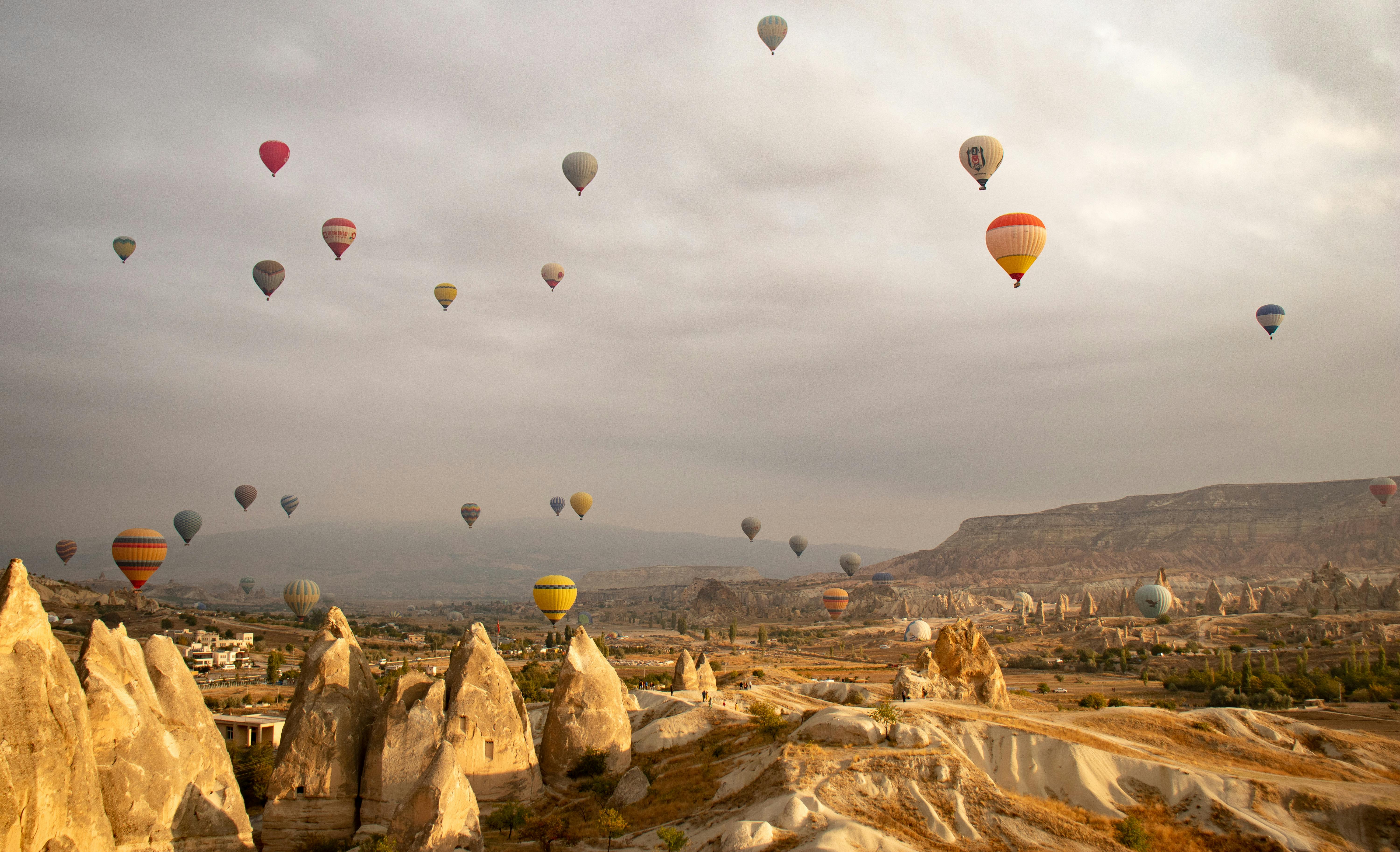 hot air balloons flying in the sky