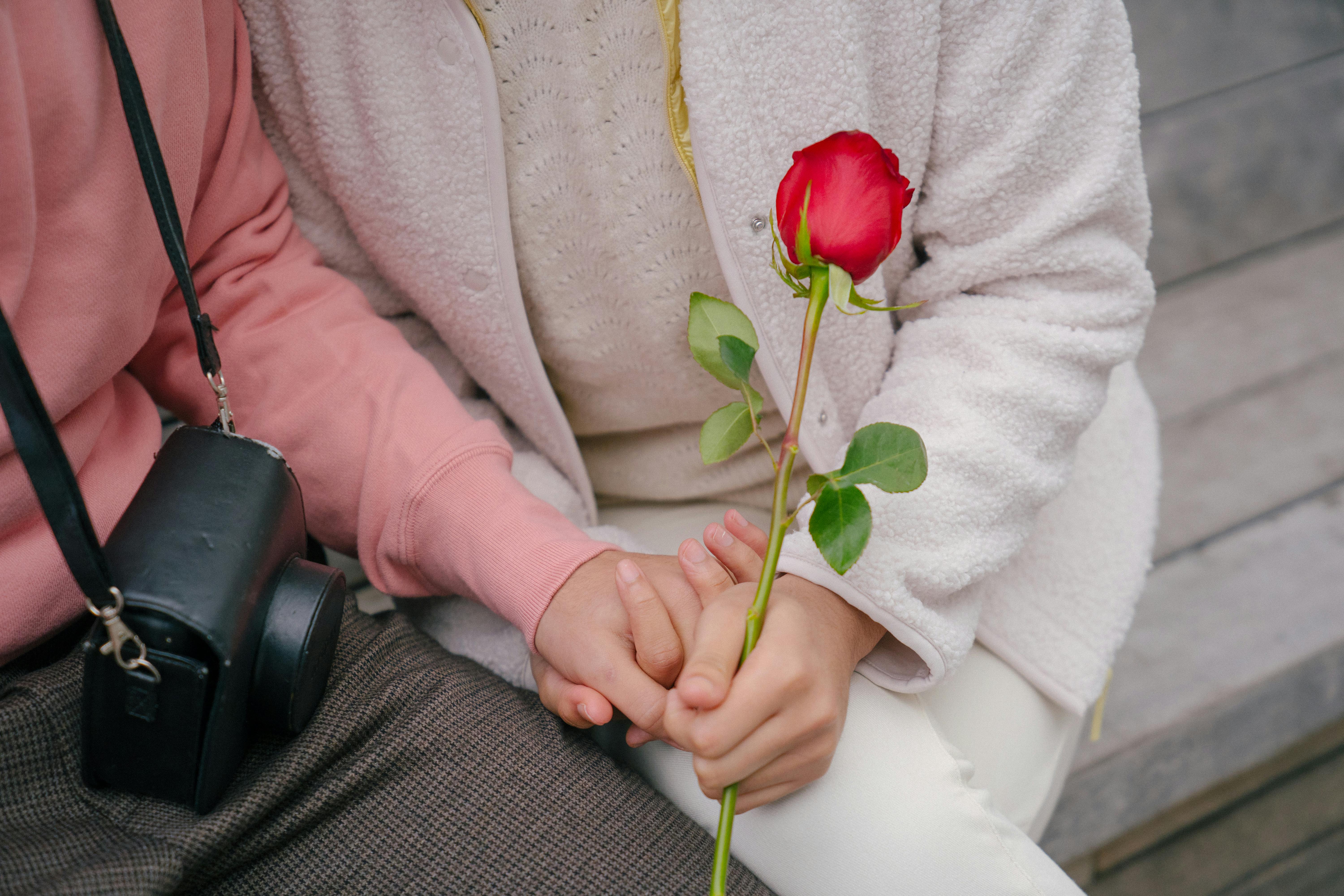 crop photo of a couple sitting on a bench with red rose