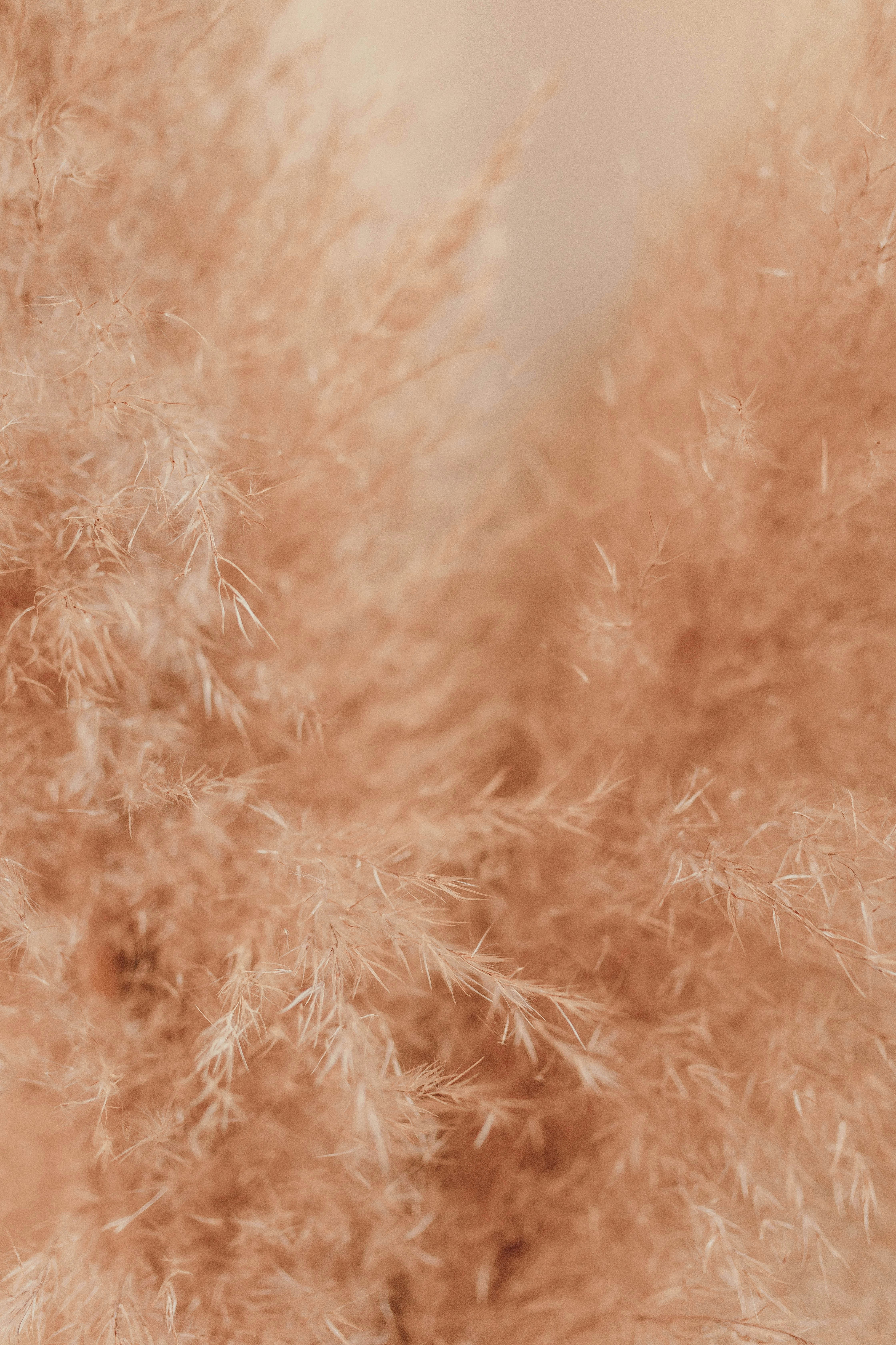 1,000,000+ Free Images