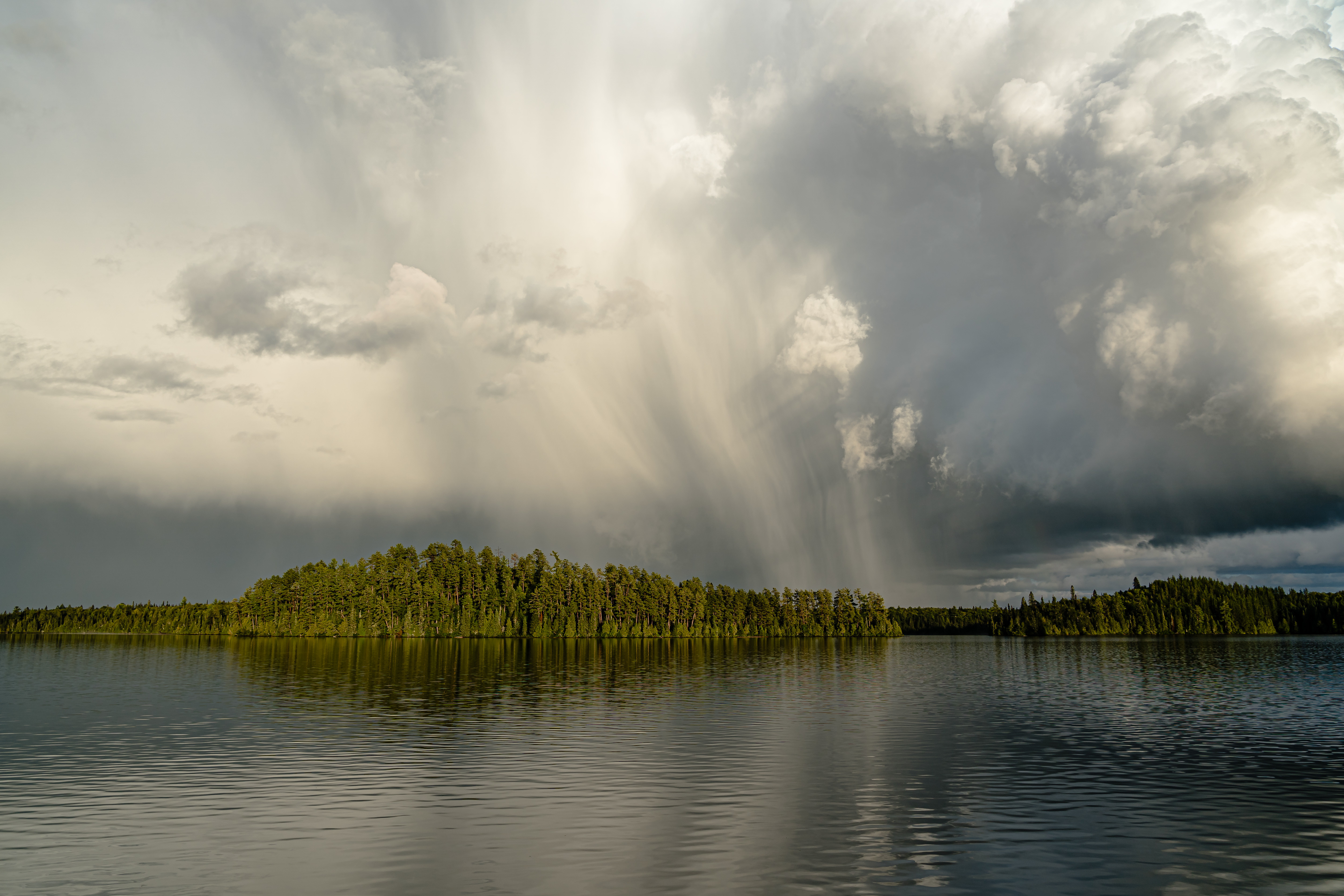 'Forecasting Rain'
