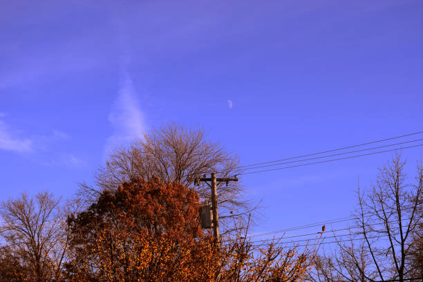 Moon with tree Cr 2017 Darrelljbanks Full harvest moon with trees must be darrell stock pictures, royalty-free photos & images